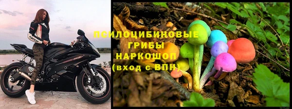 прущая мука Алзамай
