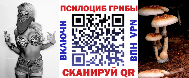 Псилоцибиновые грибы Cubensis  где продают наркотики  kraken ТОР  Щигры 